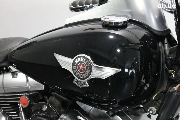 Harley-Davidson FLSTF Image 8